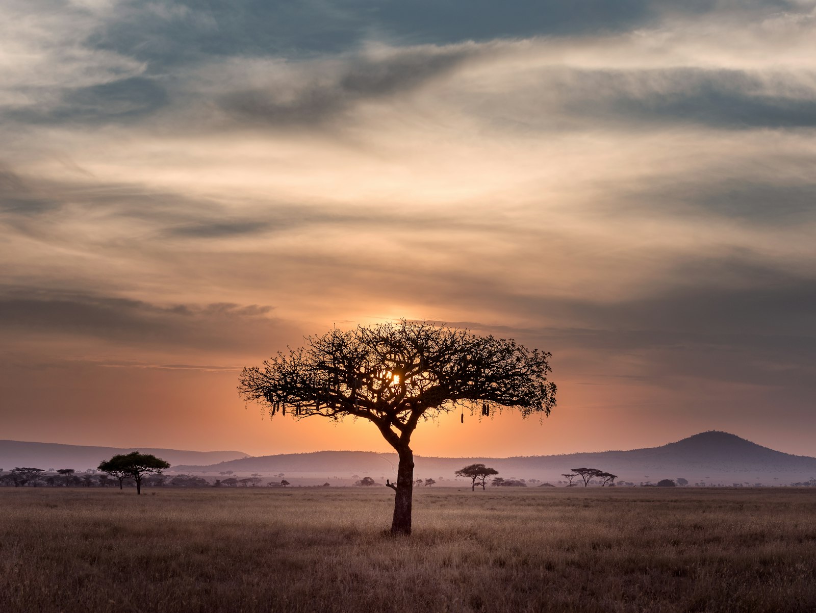 Okavango & Delta VIP