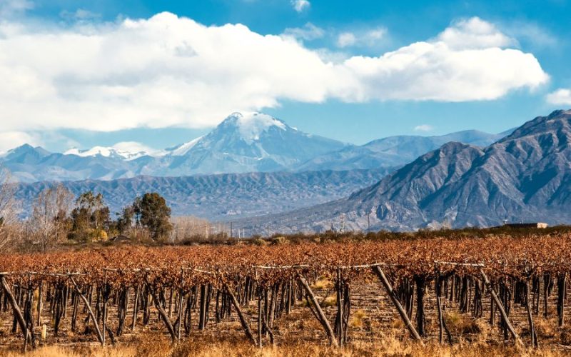 Bodegas en Mendoza. La cuna del vino en latinoamérica