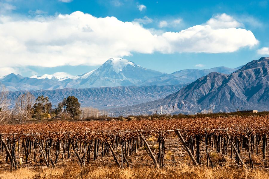Bodegas en Mendoza. La cuna del vino en latinoamérica
