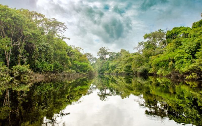 Explorar la Amazonia Peruana