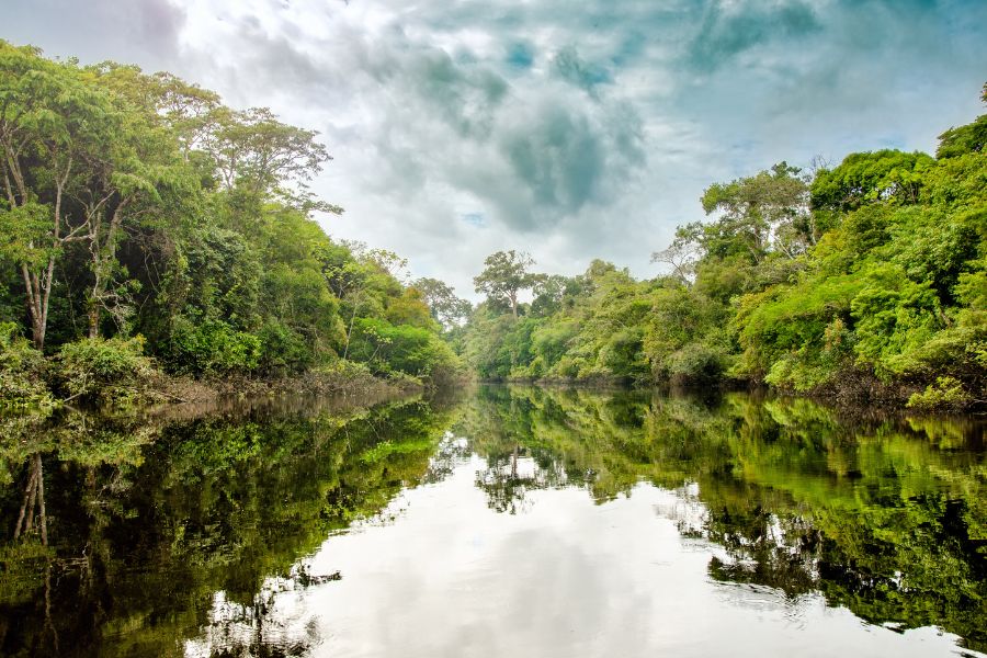 Explorar la Amazonia Peruana
