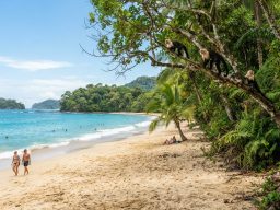 Costa Rica: Ecodiseño y Selva Primigenia