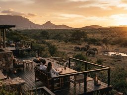 El Legado de África: De Ciudad del Cabo a las Sabanas del Kruger