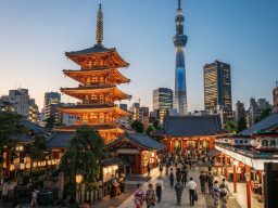Esencia del Sol Naciente: Tradición y Vanguardia Japonesa