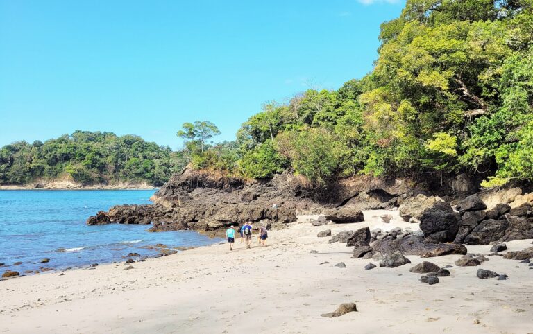 Sinfonía de Selva y Mar en Manuel Antonio