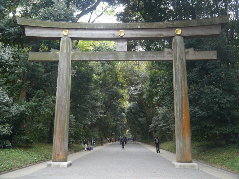 Contrastes de Tokio: Del Santuario a la Vanguardia