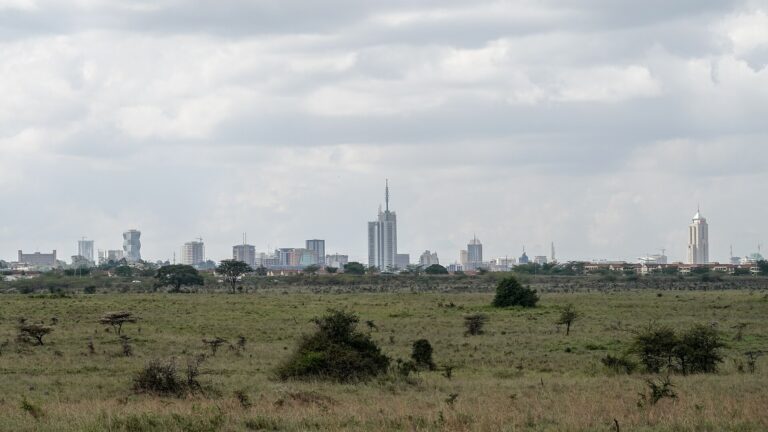 Regreso a Nairobi y Gastronomía de Vanguardia
