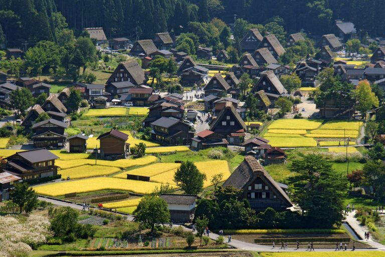 Aldeas Tradicionales de Shirakawago y llegada a Takayama