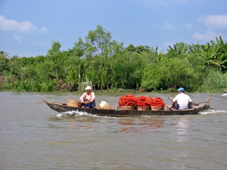 El Laberinto del Delta del Mekong