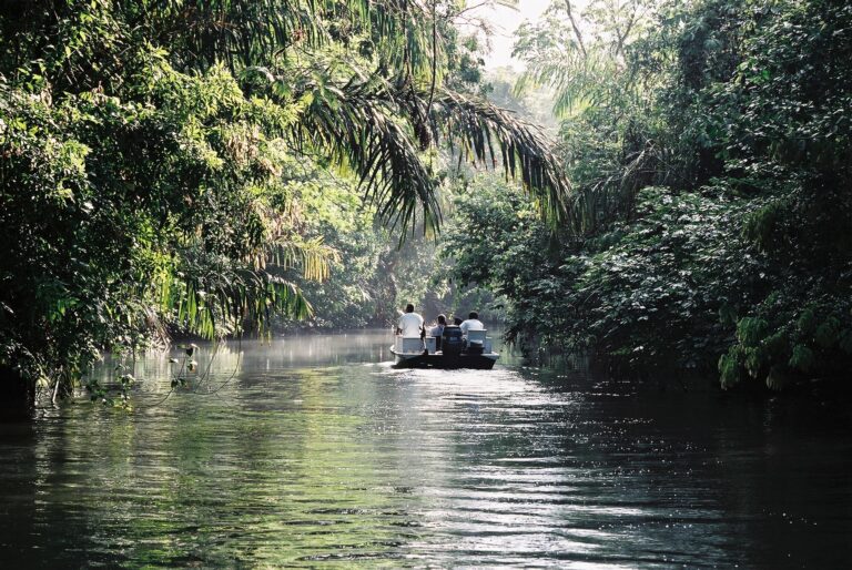 El Amazonas del Caribe: Tortuguero