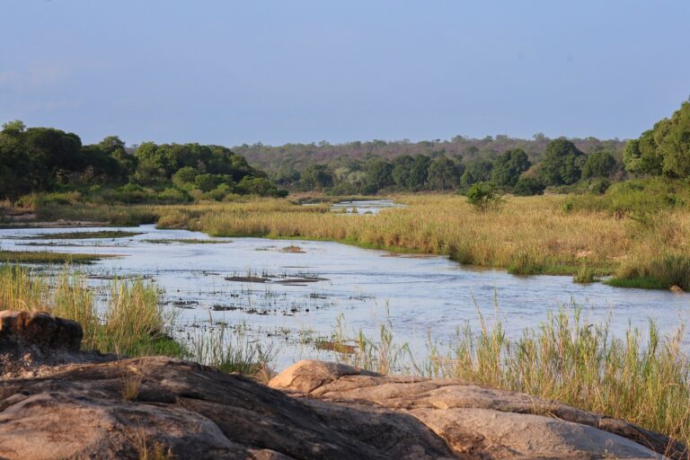 Hacia el Santuario Salvaje de Sabi Sands