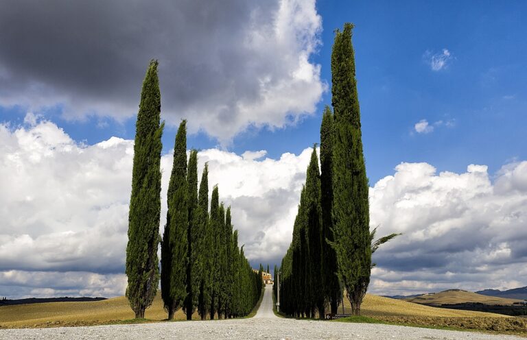 Rumbo al Corazón de la Toscana